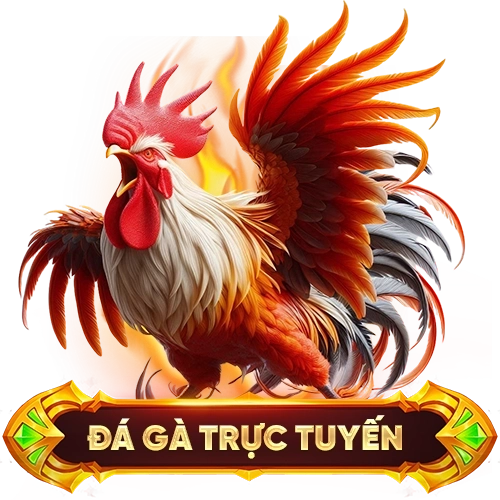 đá gà trực tuyến 8KBET